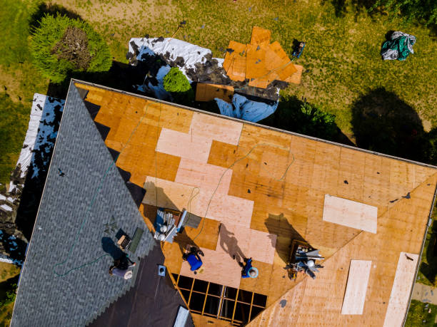 Trusted Victoria, MN Roofing Contractor Experts