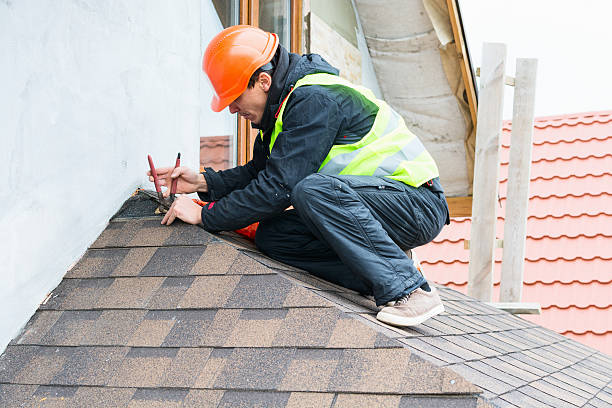 Best Roof Leak Repair  in Victoria, MN