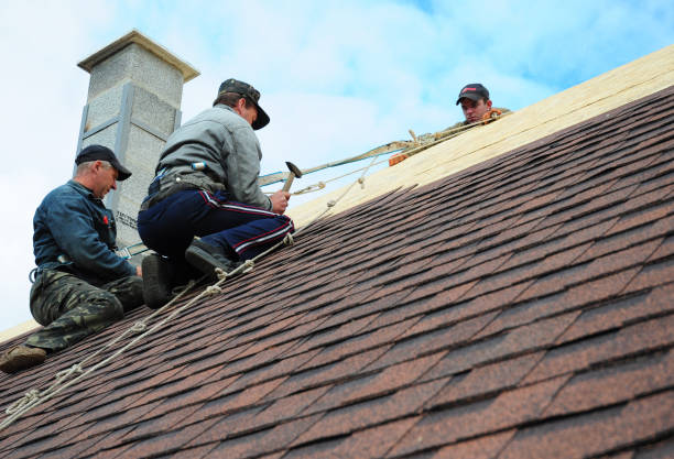 Best Storm Damage Roof Repair  in Victoria, MN